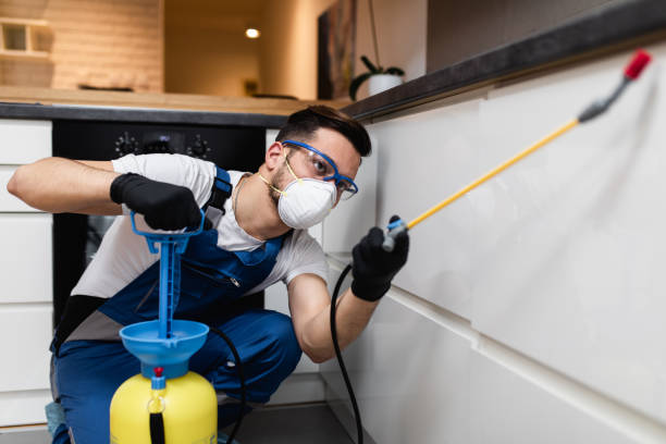 Best Commercial Pest Control Services  in Bear Creek, AL