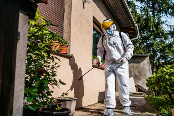 Best Affordable Pest Control Services  in Bear Creek, AL