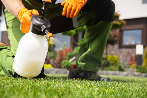 Best Flea Control Services  in Bear Creek, AL