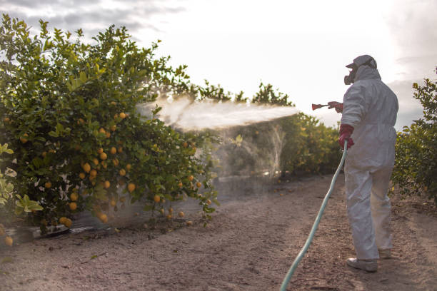 Pest Prevention Services in Bear Creek, AL