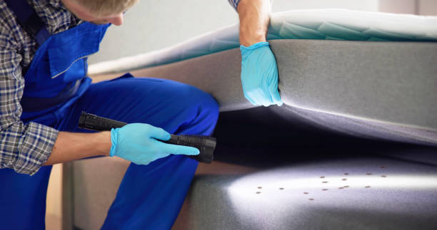 Wasp Removal Services in Bear Creek, AL