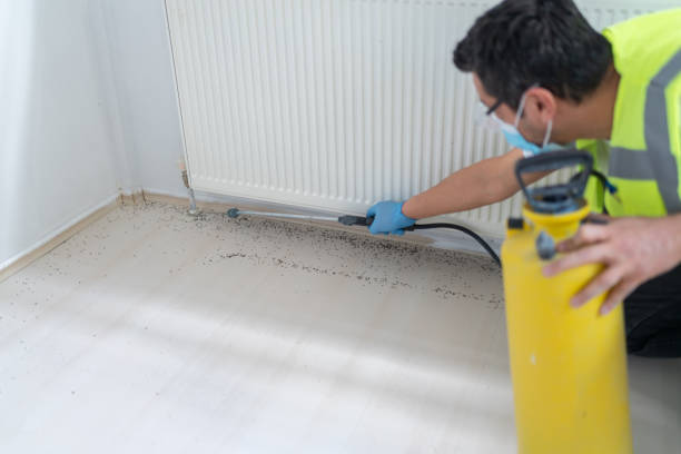 Best Residential Pest Control  in Bear Creek, AL